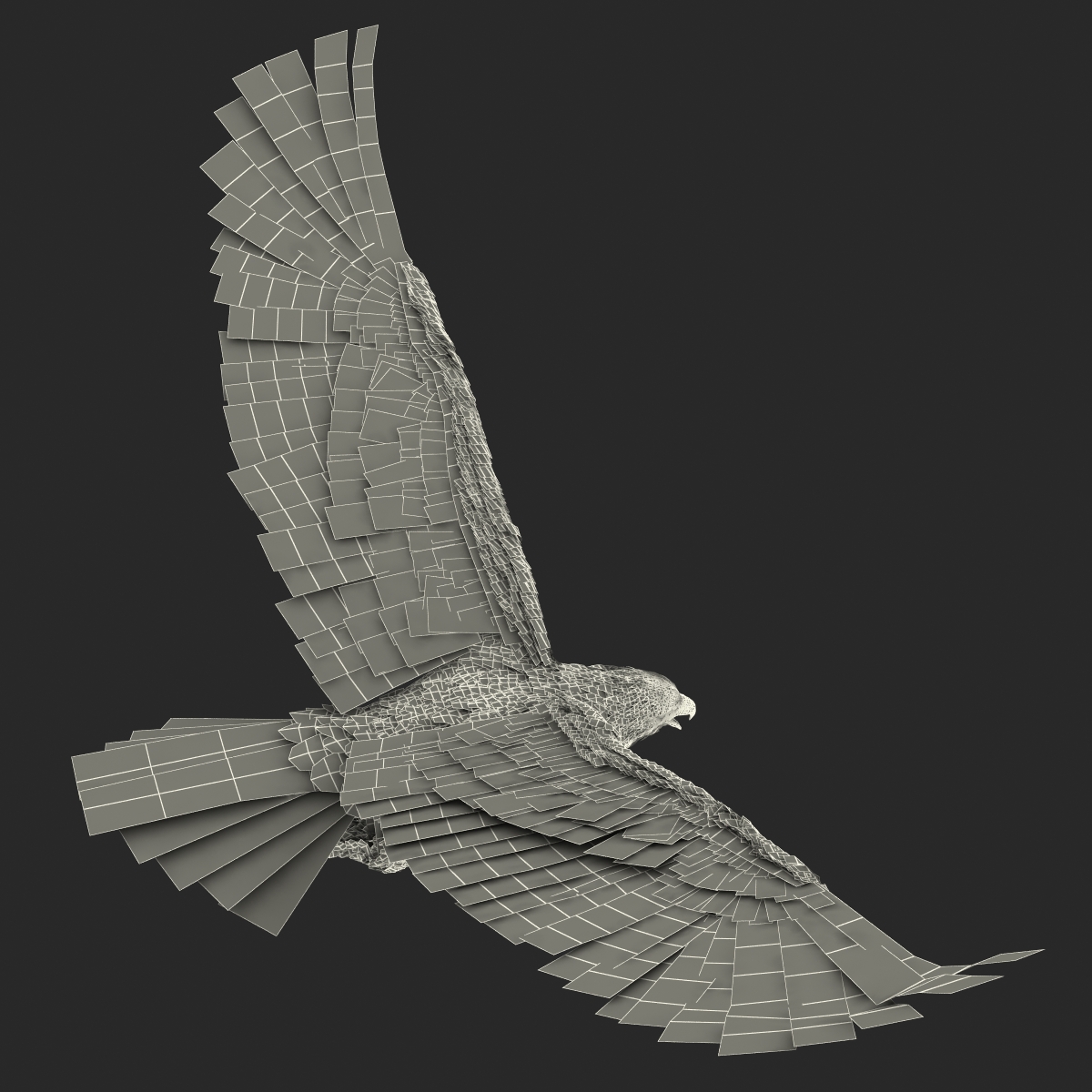 3D Imperial Eagle Pose 7