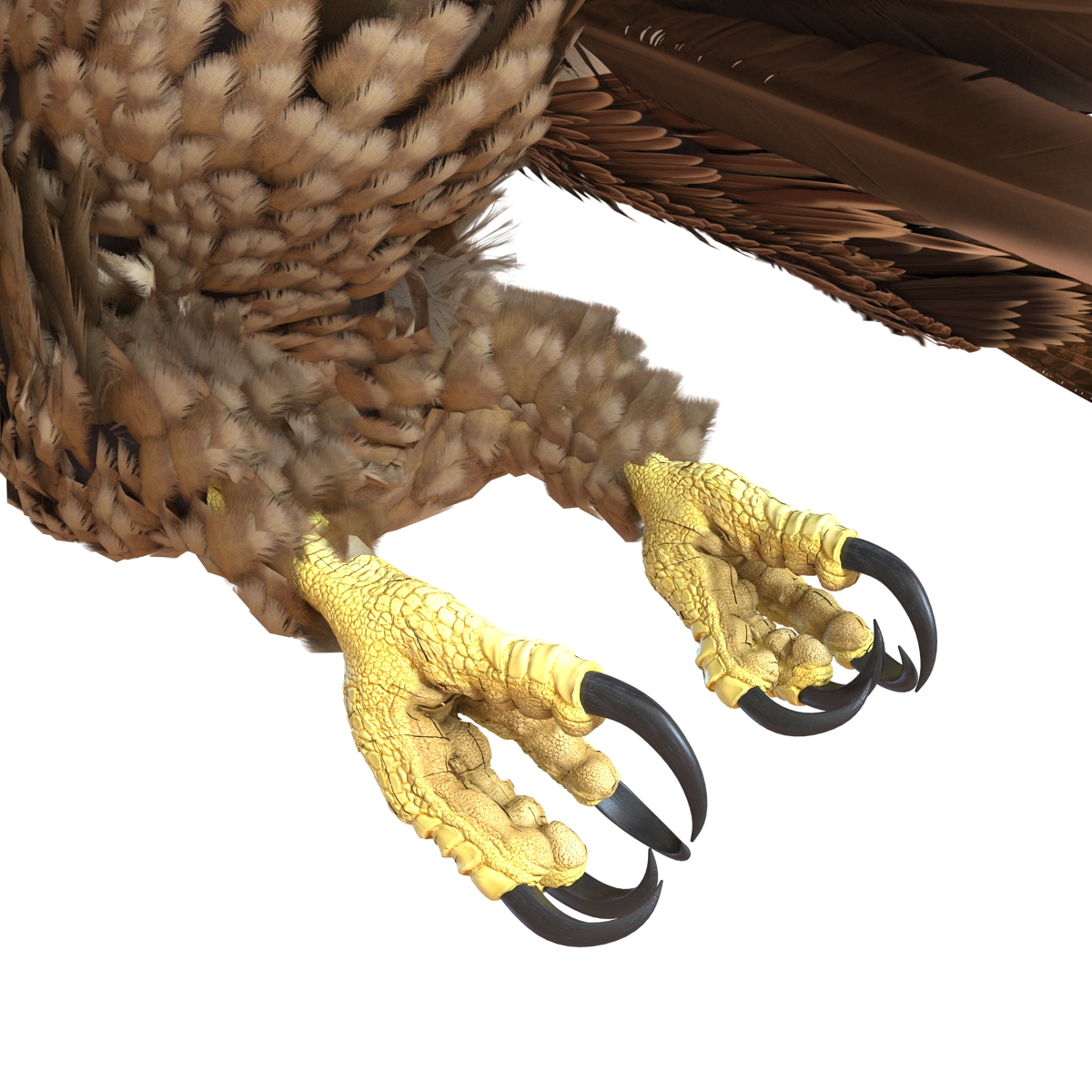 3D Imperial Eagle Pose 6