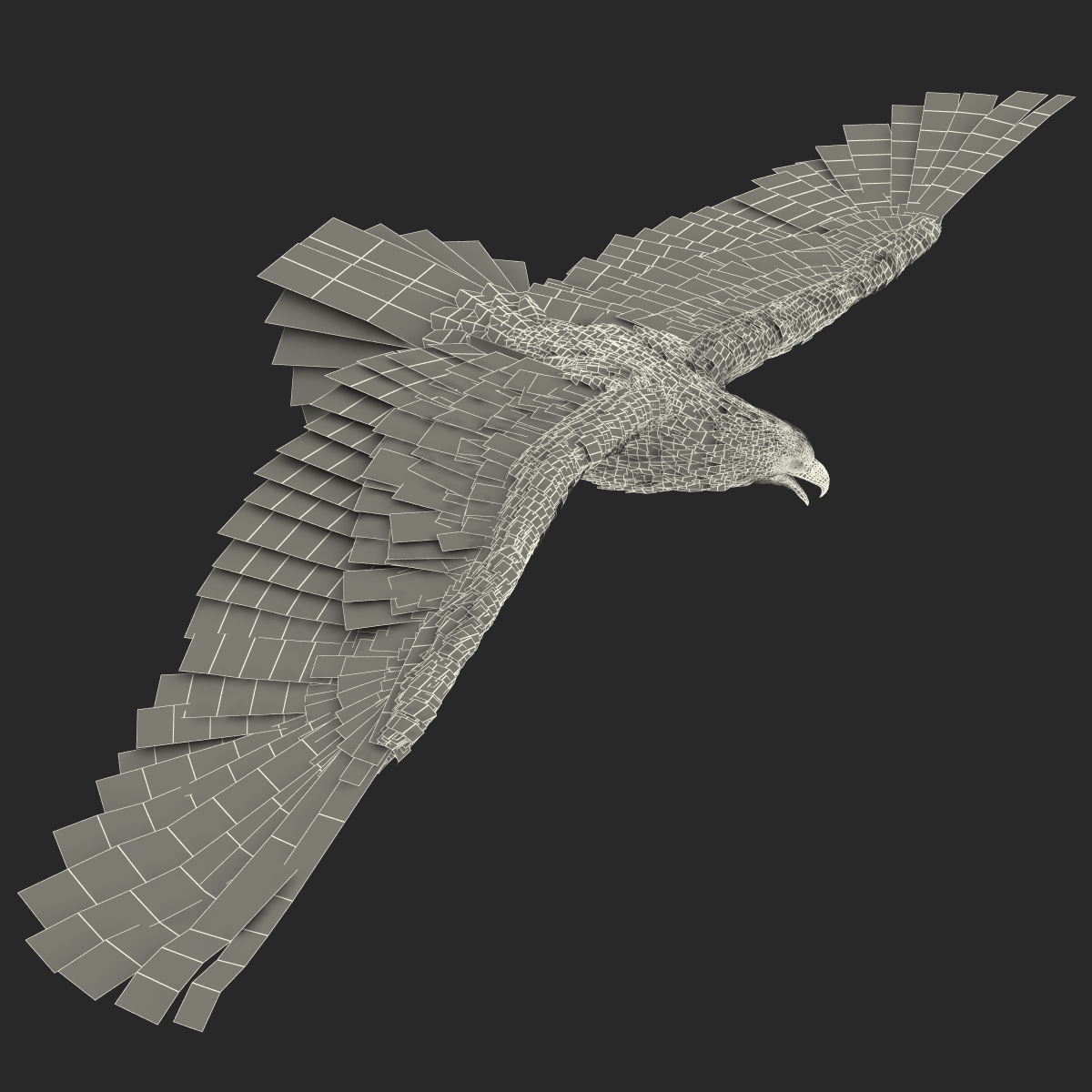 3D Imperial Eagle Pose 6