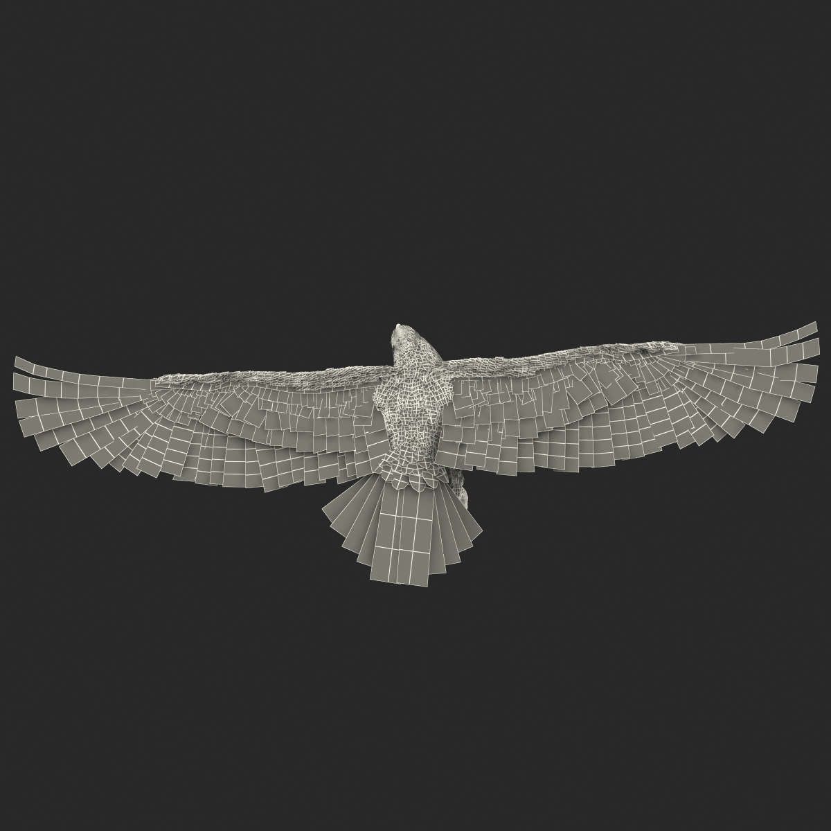 3D Imperial Eagle Pose 6