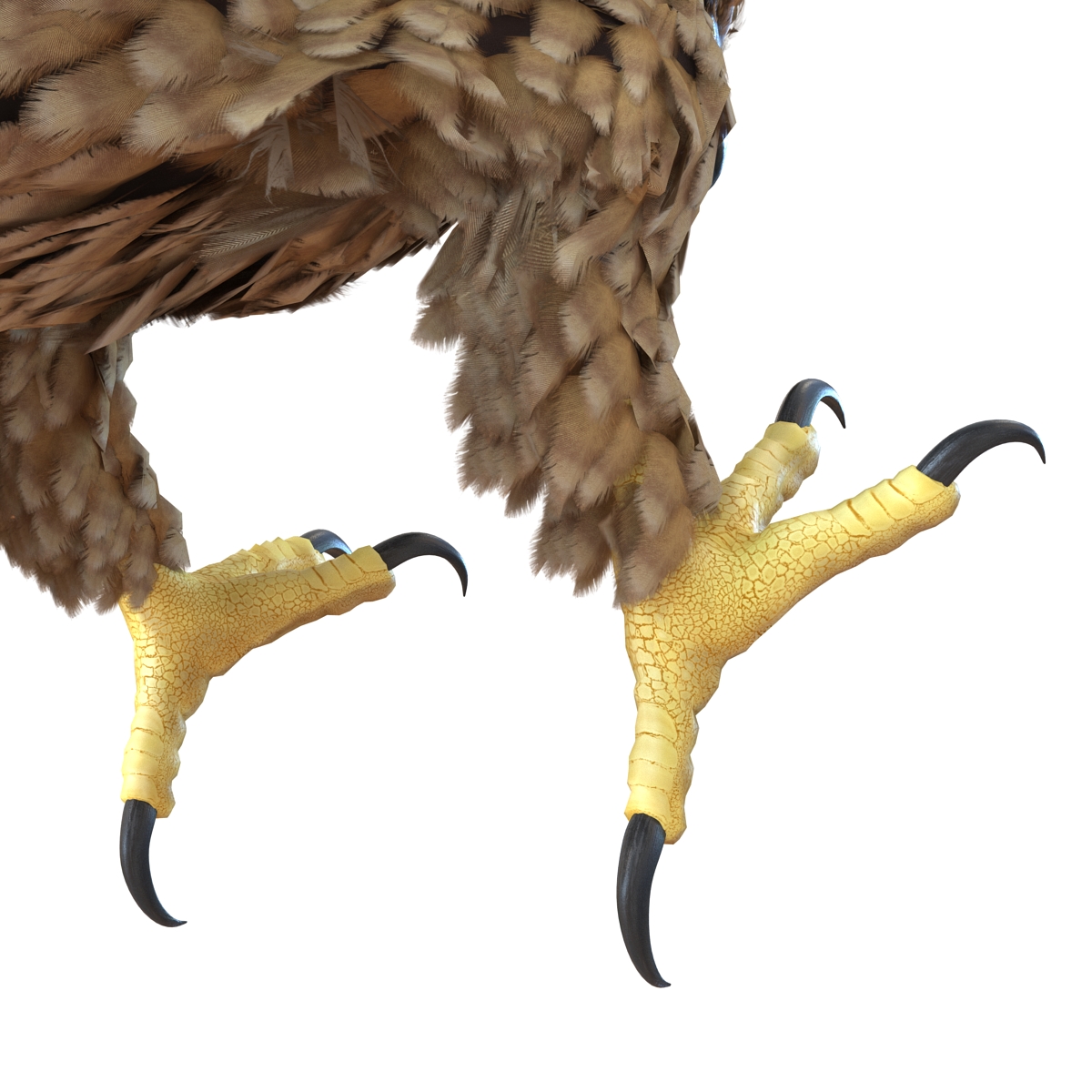 3D Imperial Eagle Pose 3