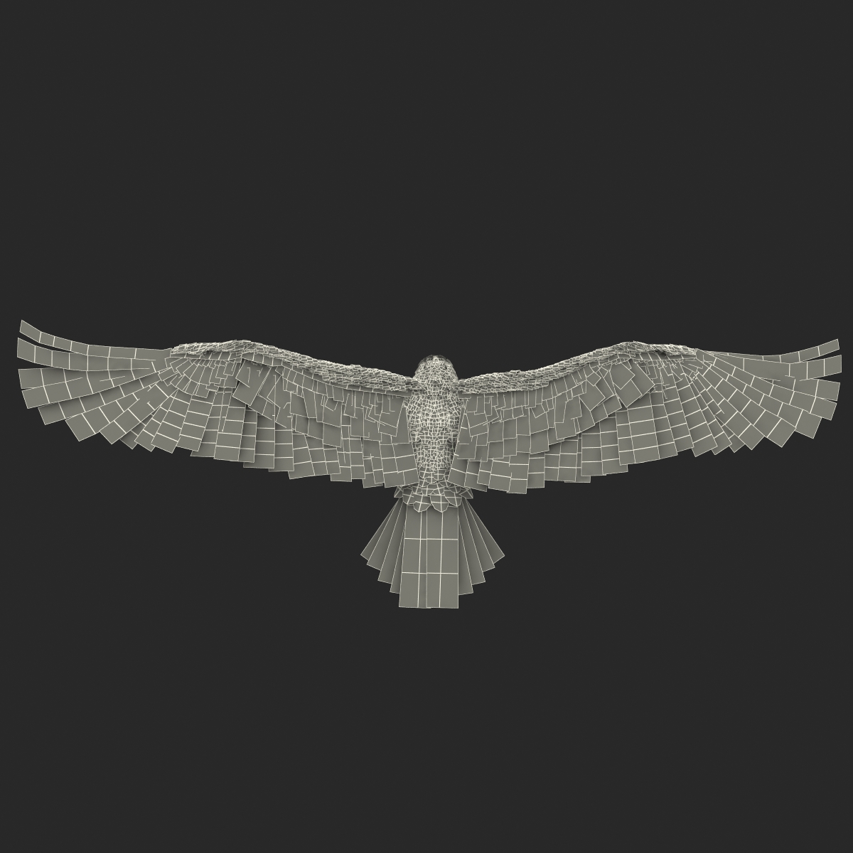 3D Imperial Eagle Pose 3