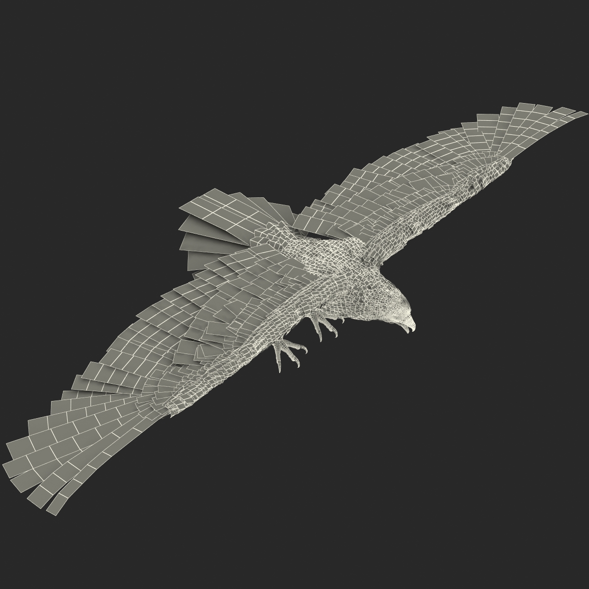 Imperial Eagle 3D model