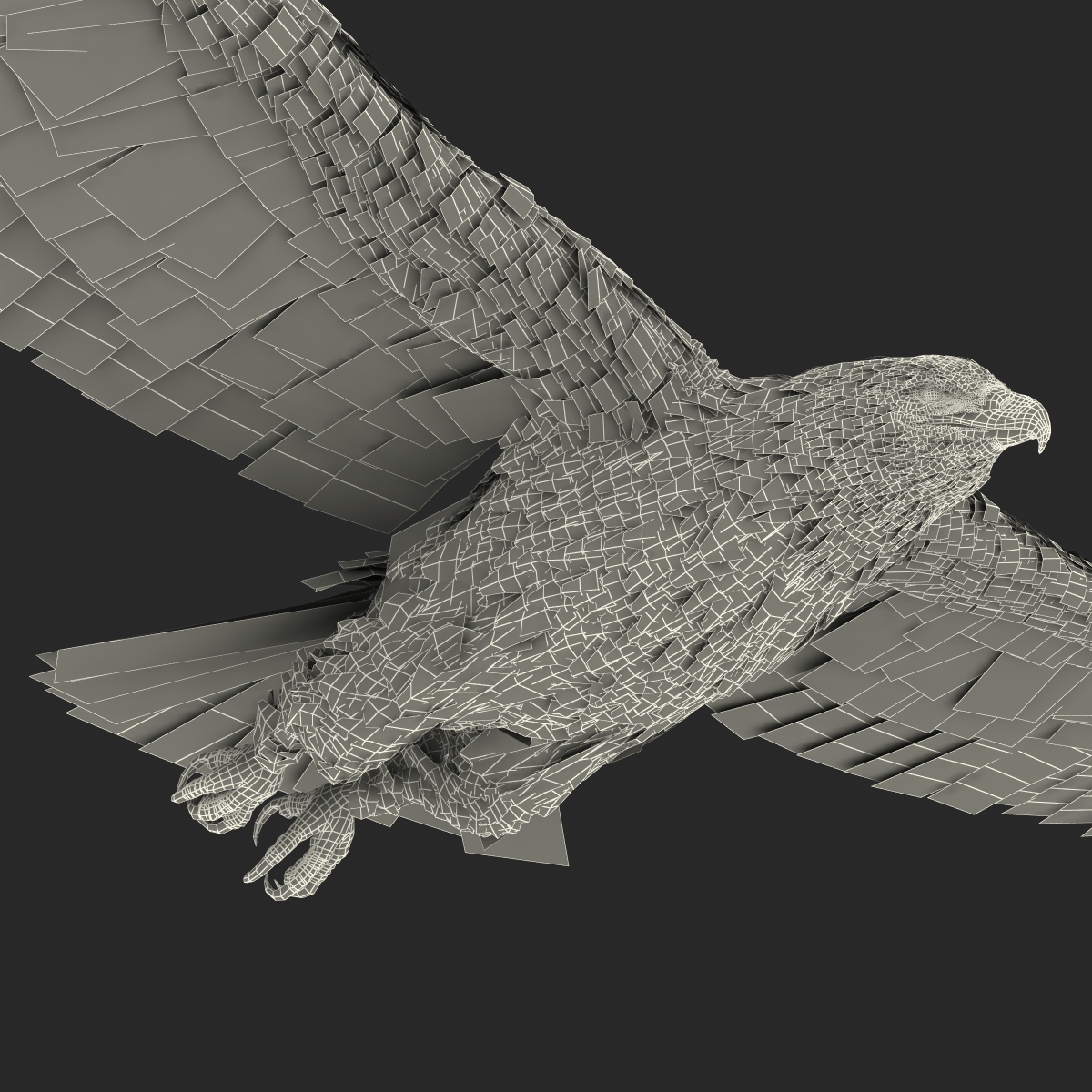 3D Imperial Eagle Pose 2