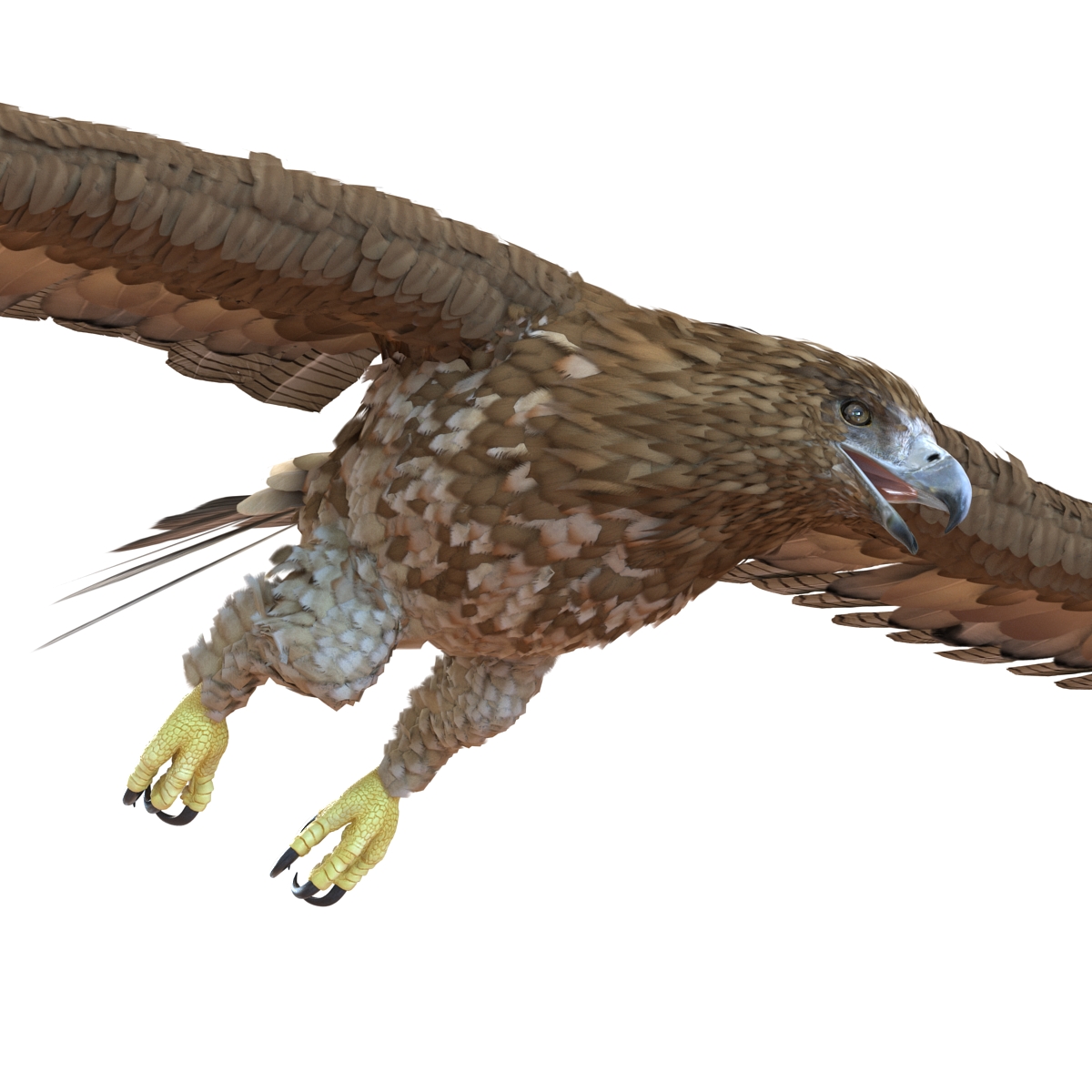 Gurney Eagle Pose 7 3D model