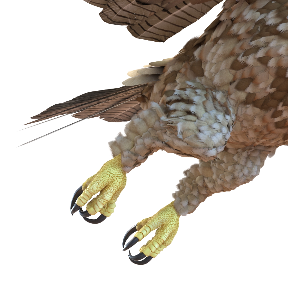 Gurney Eagle Pose 7 3D model