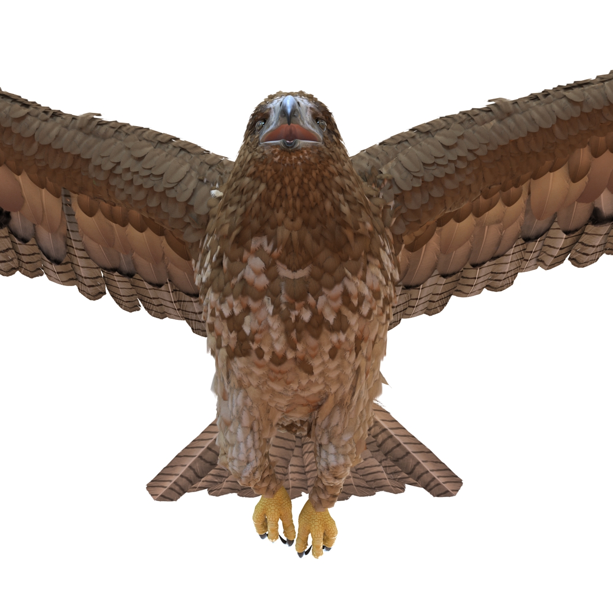 Gurney Eagle Pose 6 3D model