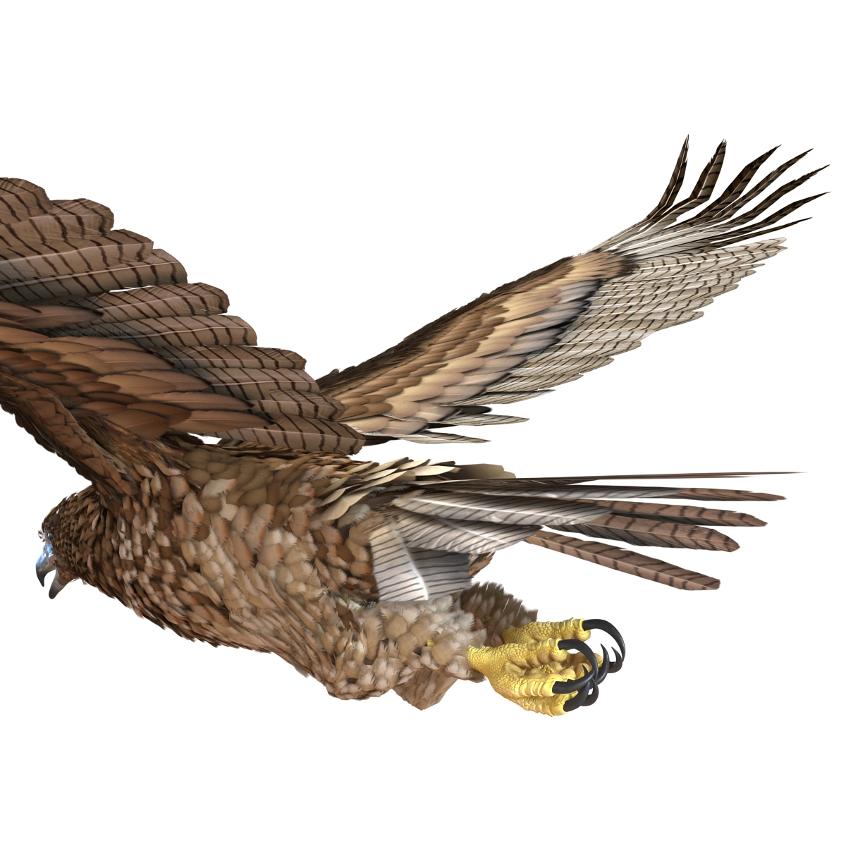 Gurney Eagle Pose 6 3D model