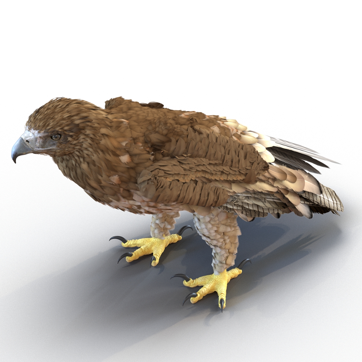 Gurney Eagle Pose 5 3D model