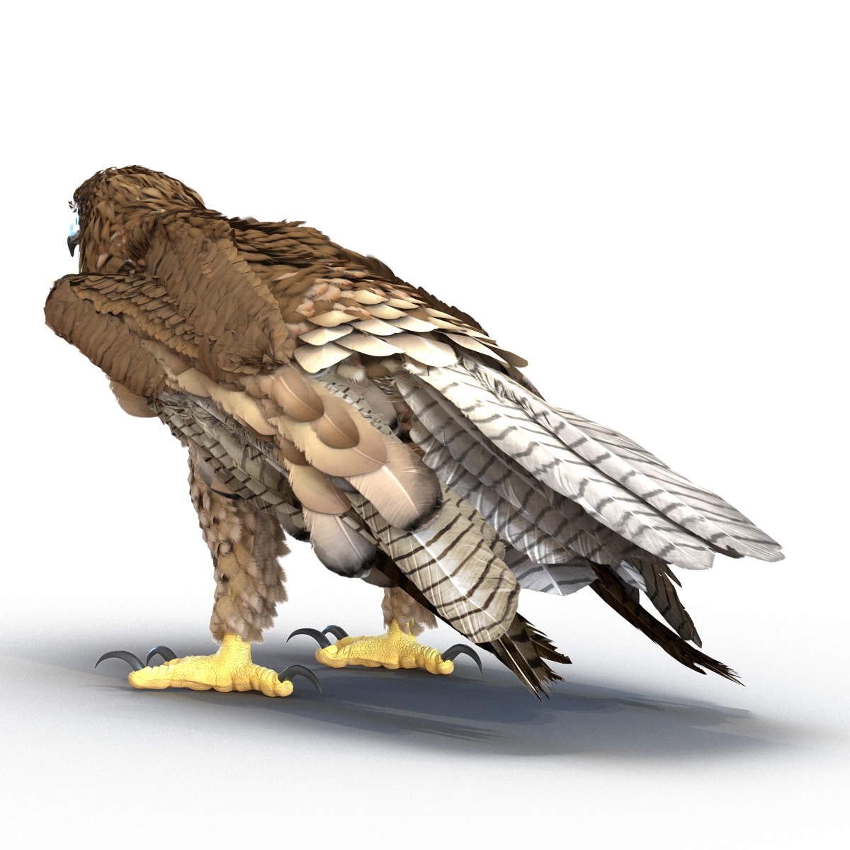 Gurney Eagle Pose 5 3D model