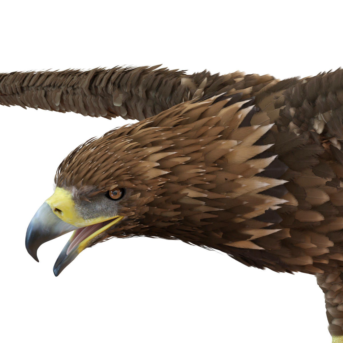 Golden Eagle 3D