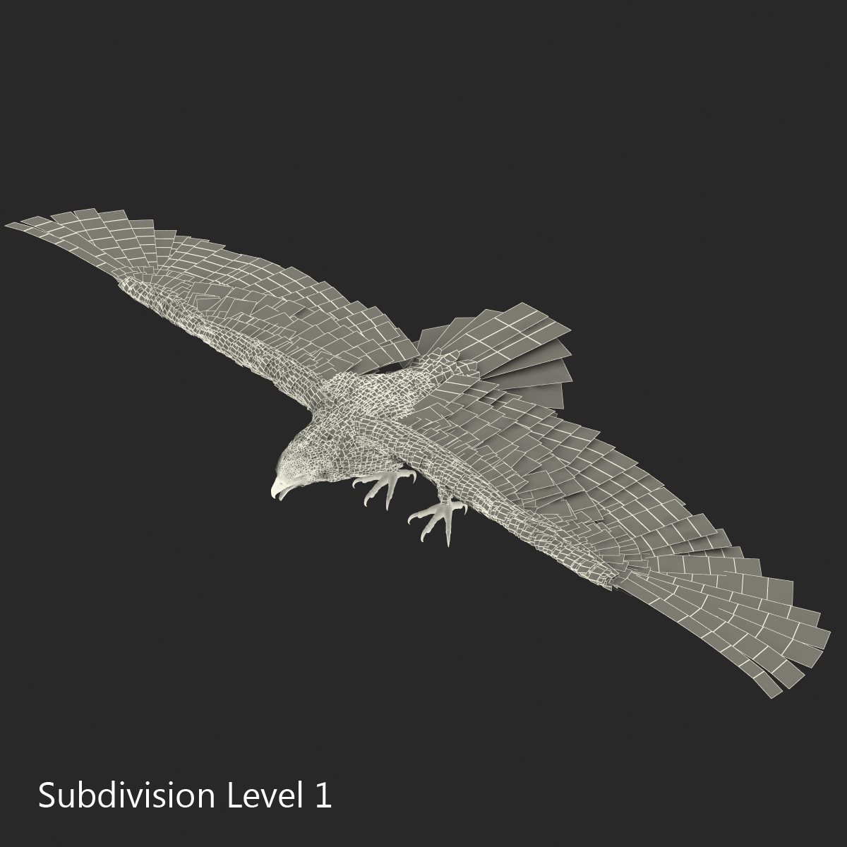 Golden Eagle 3D