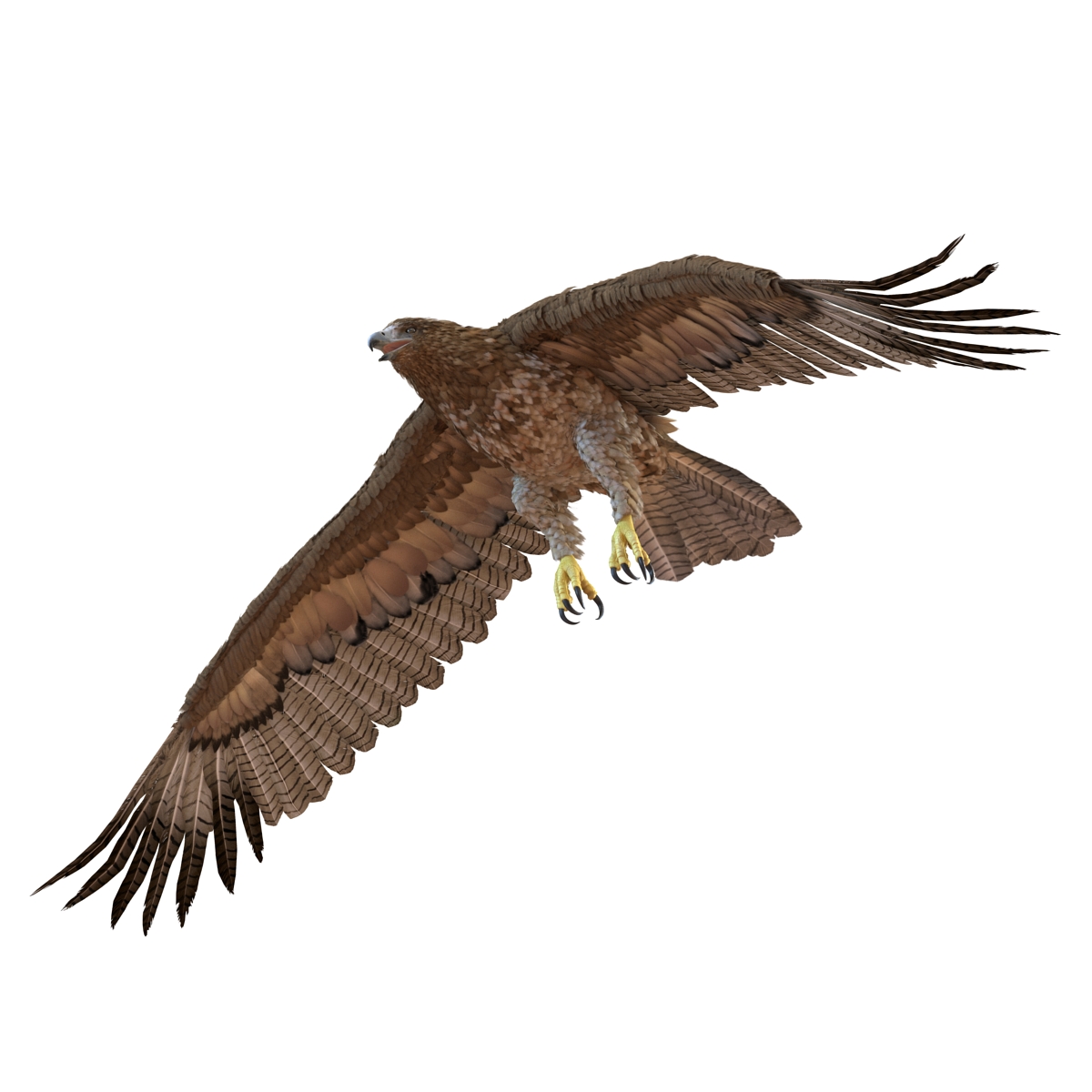 Gurney Eagle Pose 4 3D model