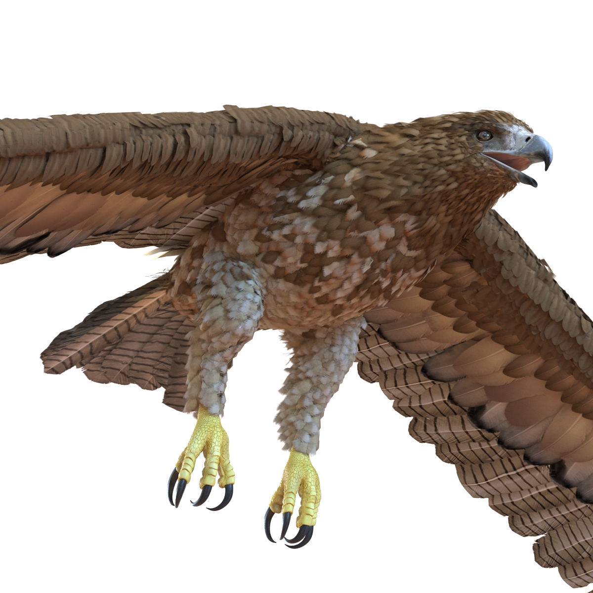 Gurney Eagle Pose 4 3D model