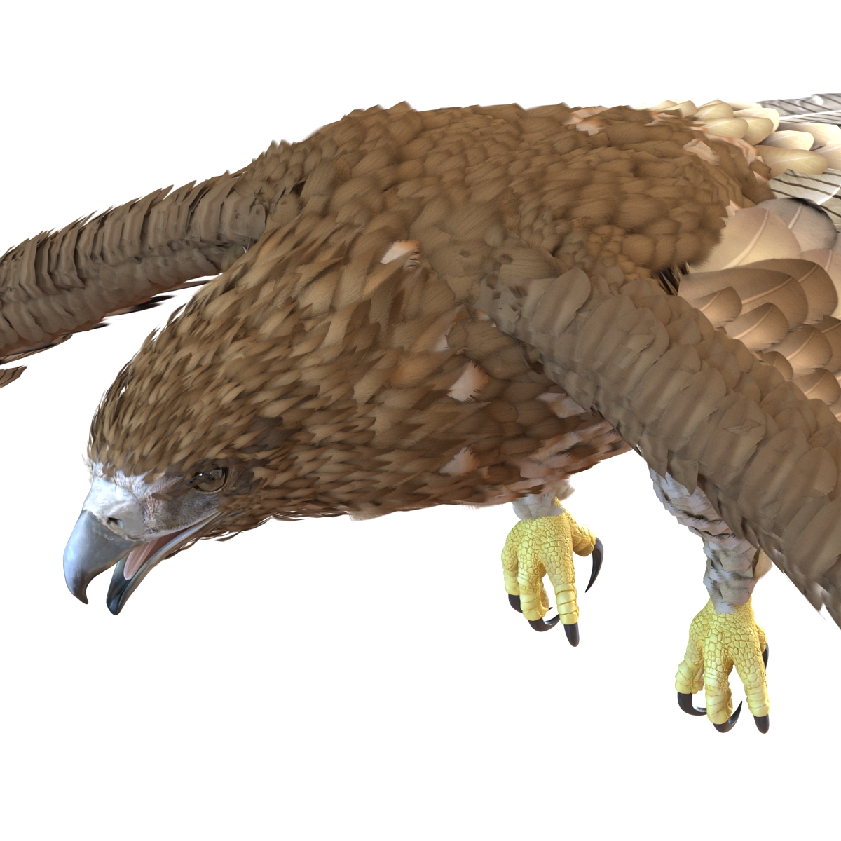 Gurney Eagle Pose 4 3D model