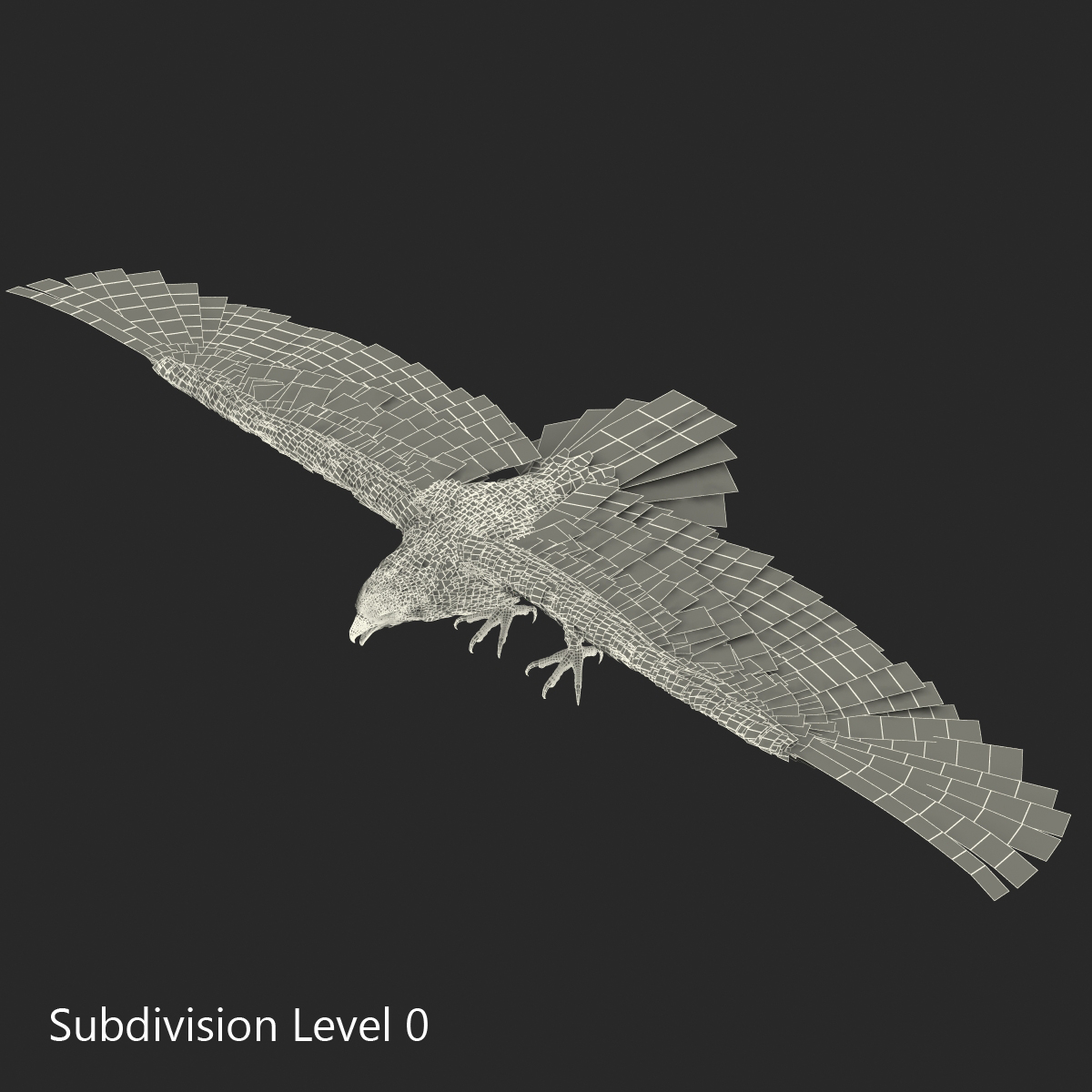 3D model Bald Eagle