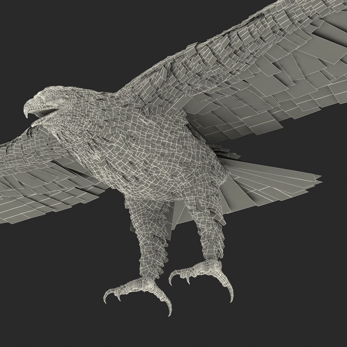 3D model Bald Eagle