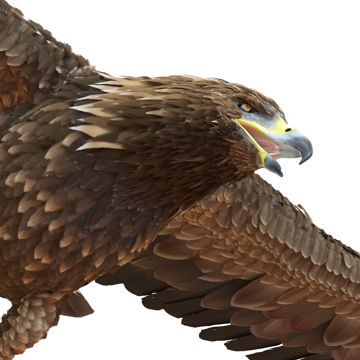 Golden Eagle Pose 7 3D model