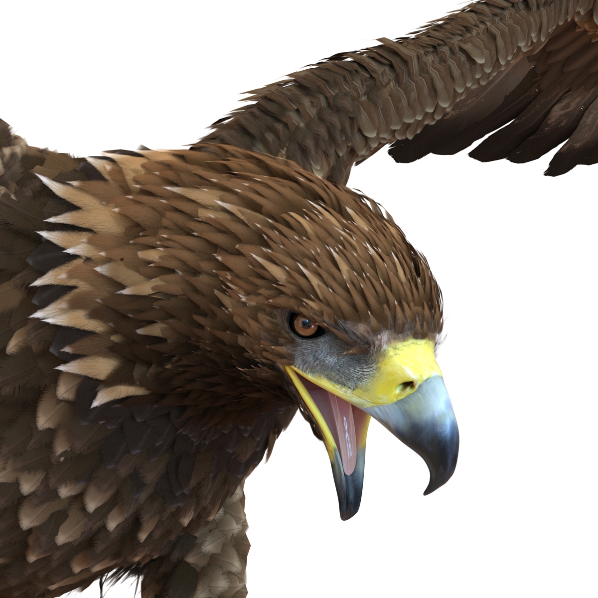 Golden Eagle Pose 6 3D model