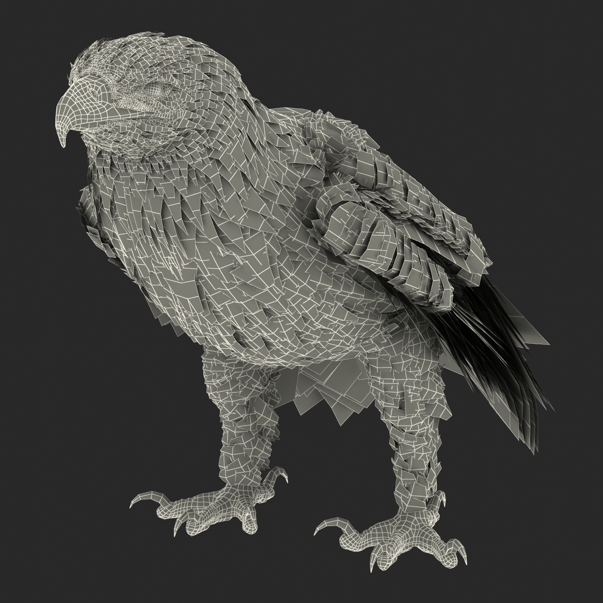 Golden Eagle Pose 5 3D model