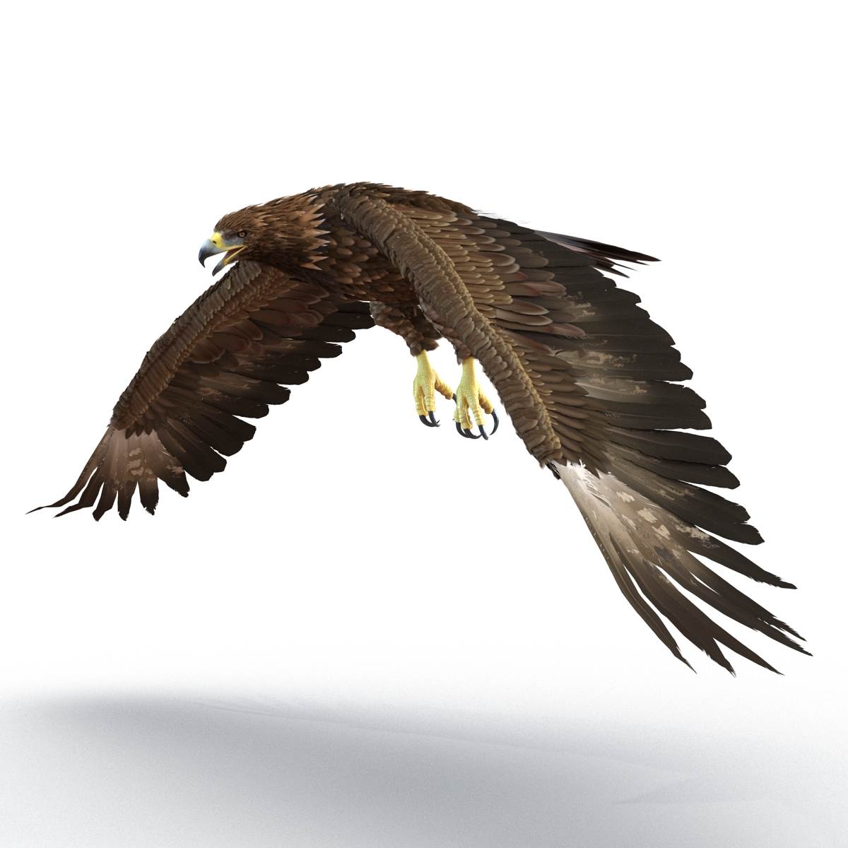 Golden Eagle Pose 4 3D model