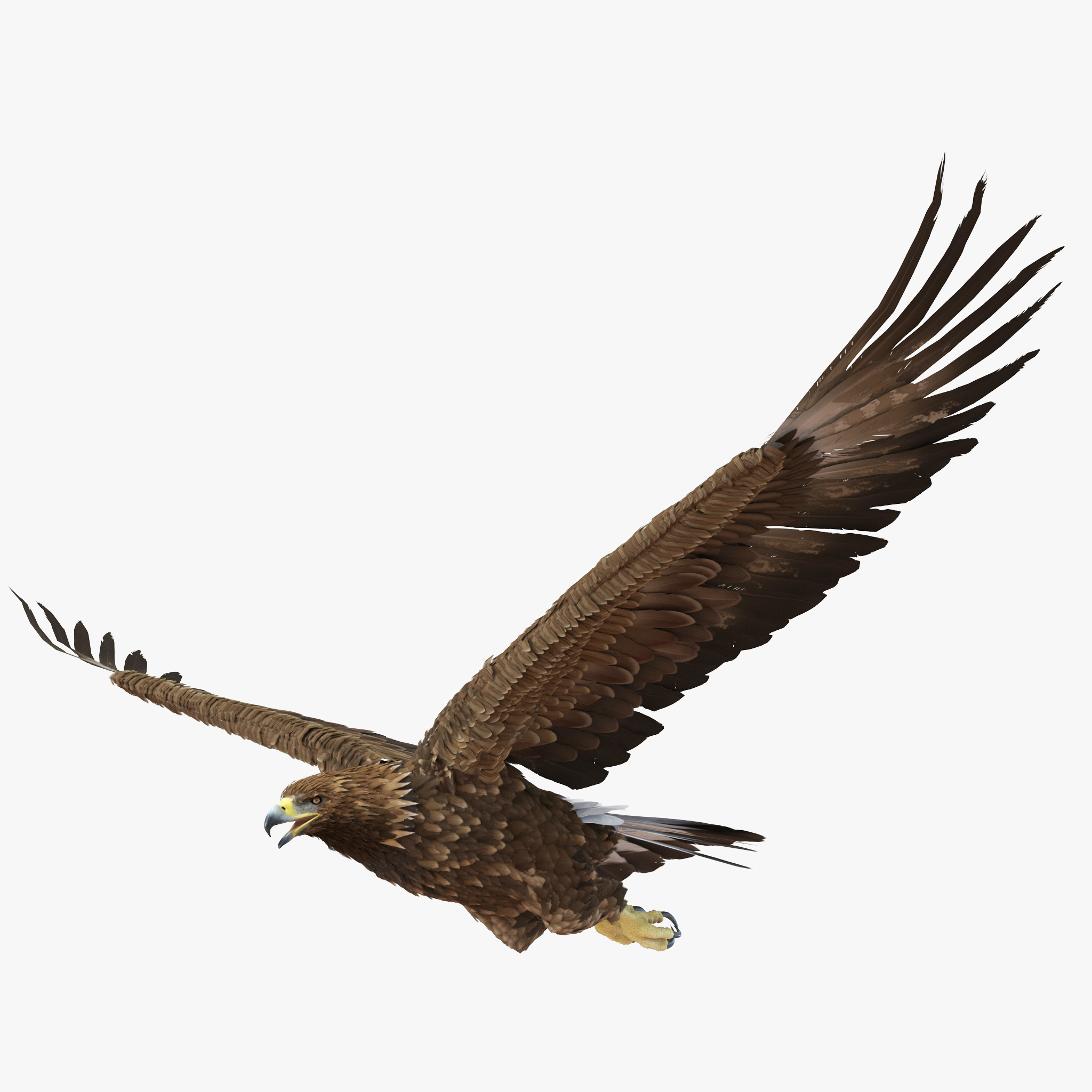 Golden Eagle Pose 2 3D model