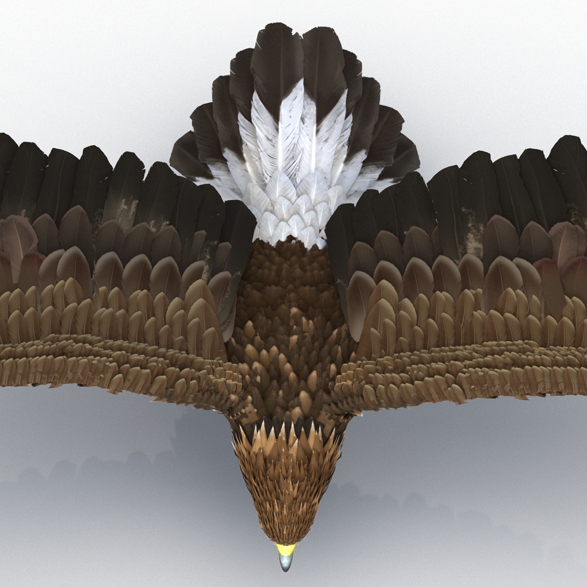 Golden Eagle Pose 2 3D model