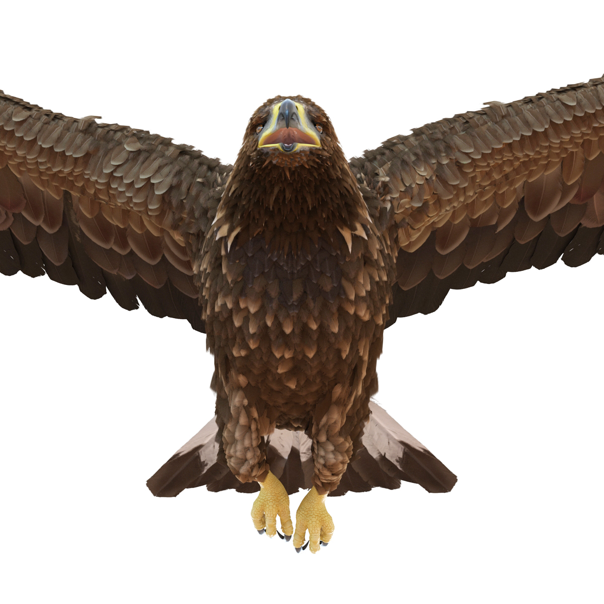 Golden Eagle Pose 2 3D model