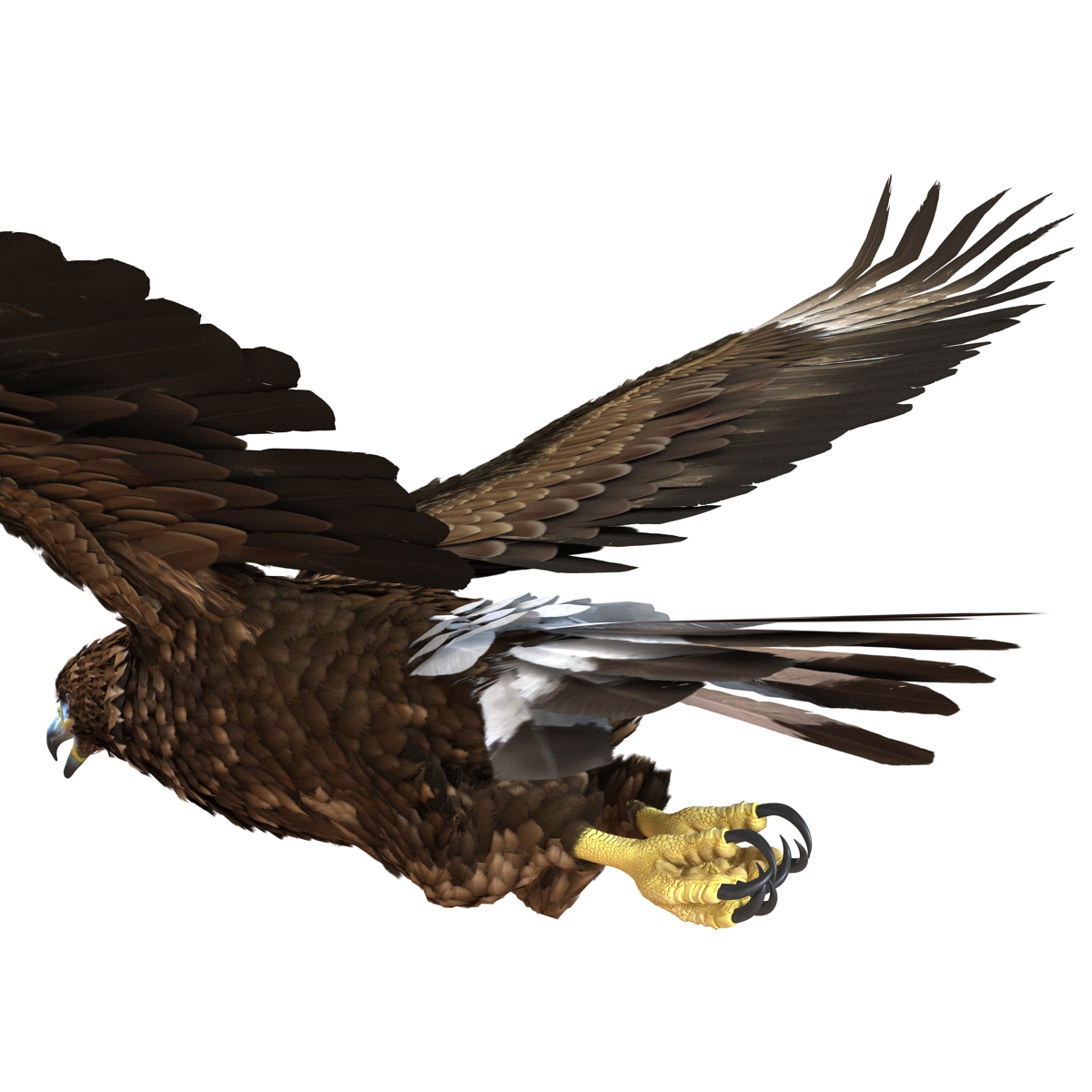 Golden Eagle Pose 2 3D model