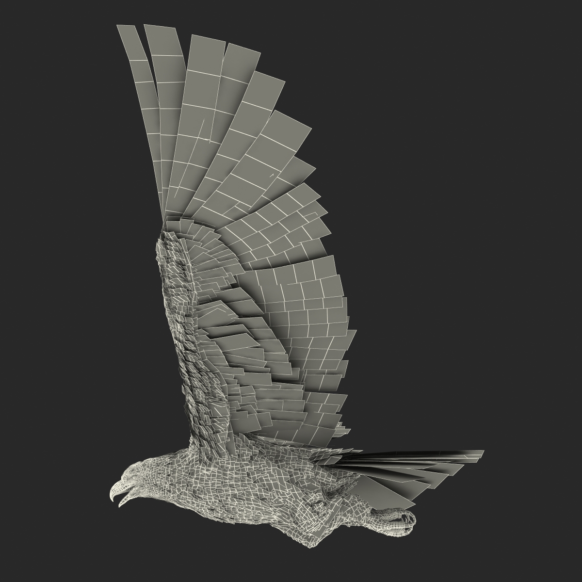 Golden Eagle Pose 2 3D model