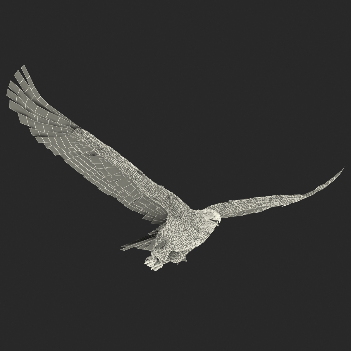 Golden Eagle Pose 2 3D model