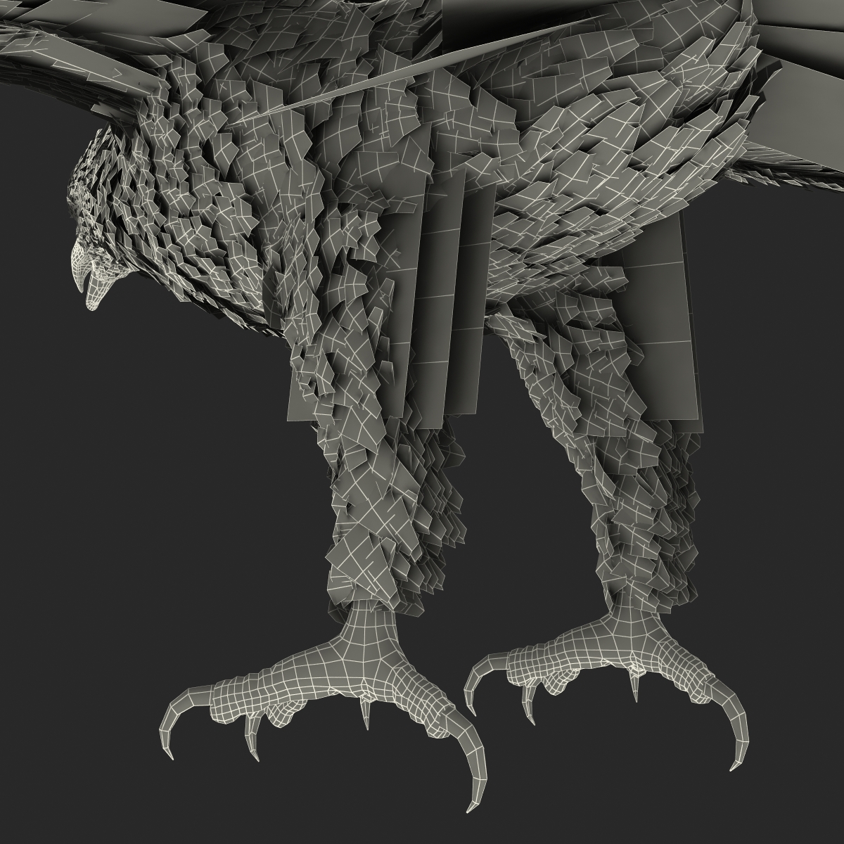 Bald Eagle Rigged 3D