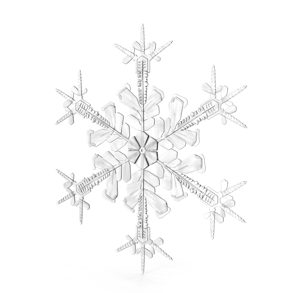 3D Snowflake 4