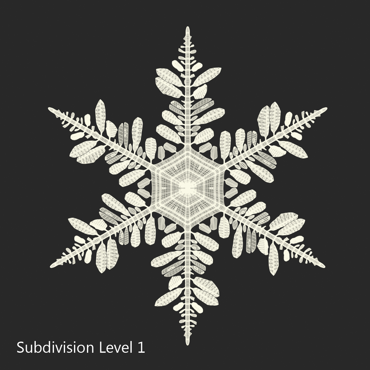 3D Snowflake 5