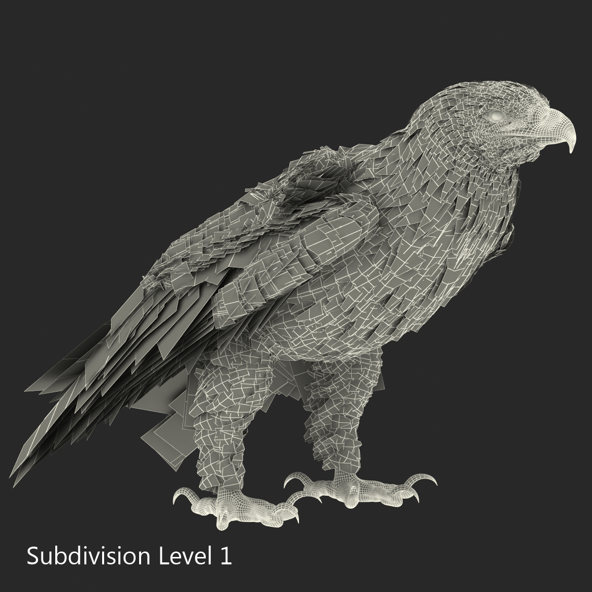 Bald Eagle Pose 5 3D