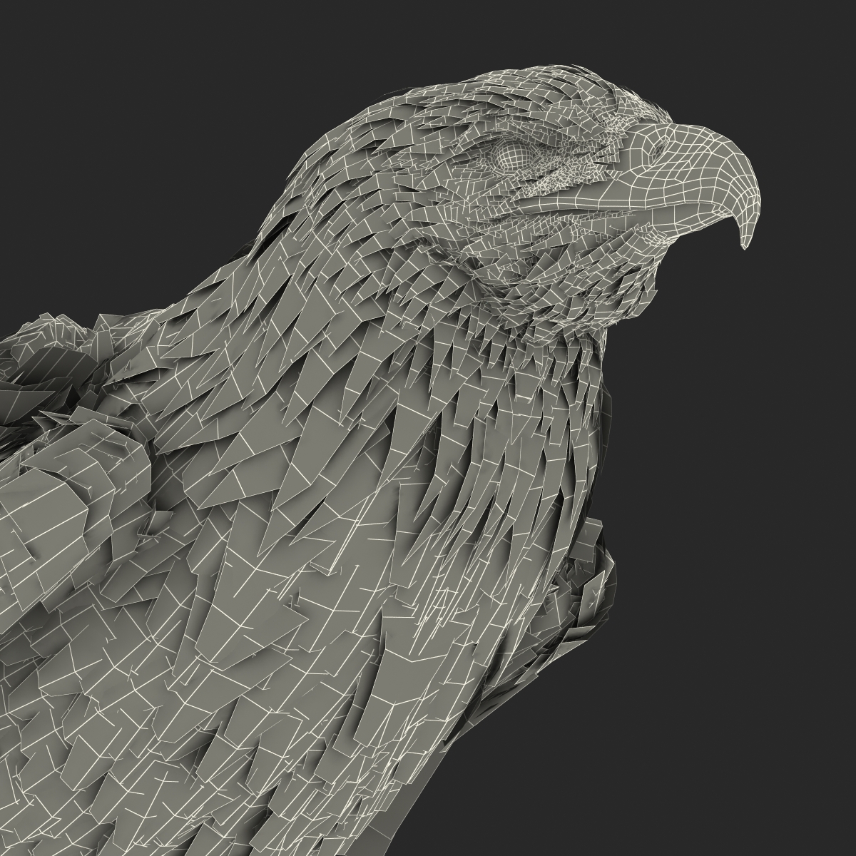 Bald Eagle Pose 5 3D