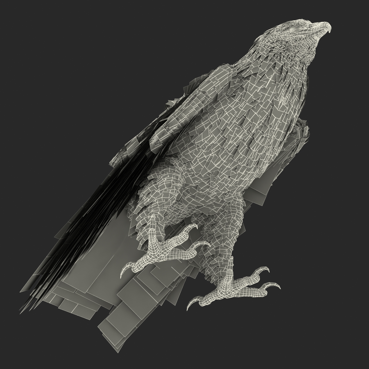 Bald Eagle Pose 5 3D