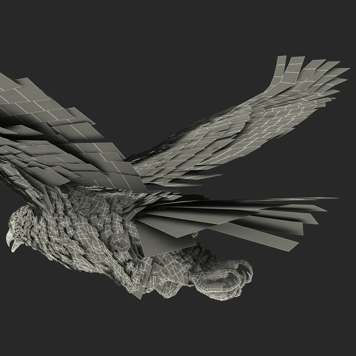 Bald Eagle Pose 4 3D