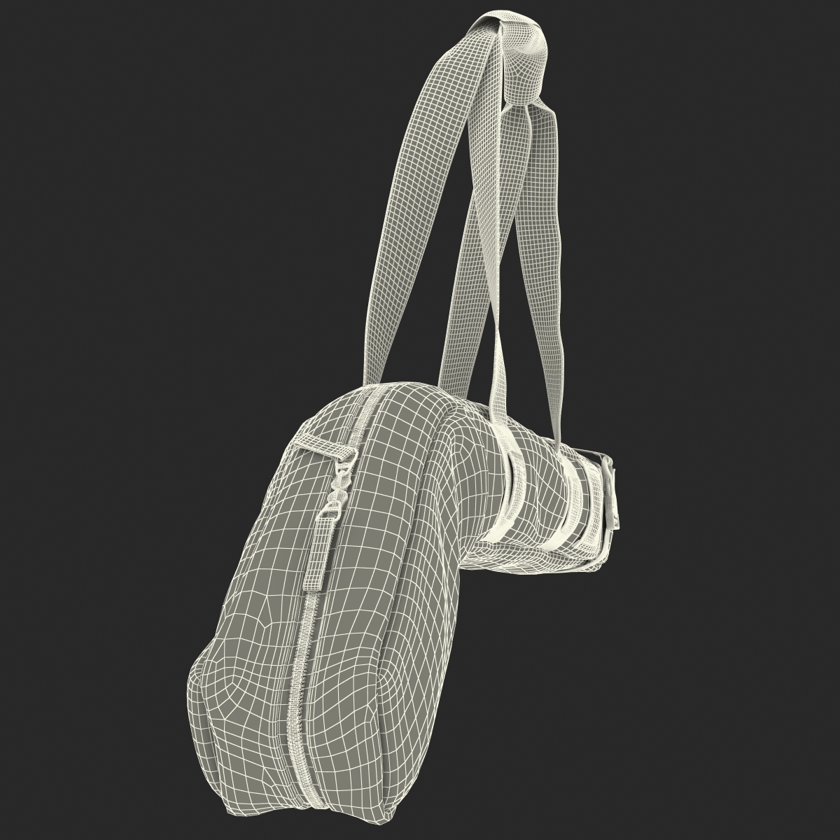 3D Hockey Stick Bag 2 model