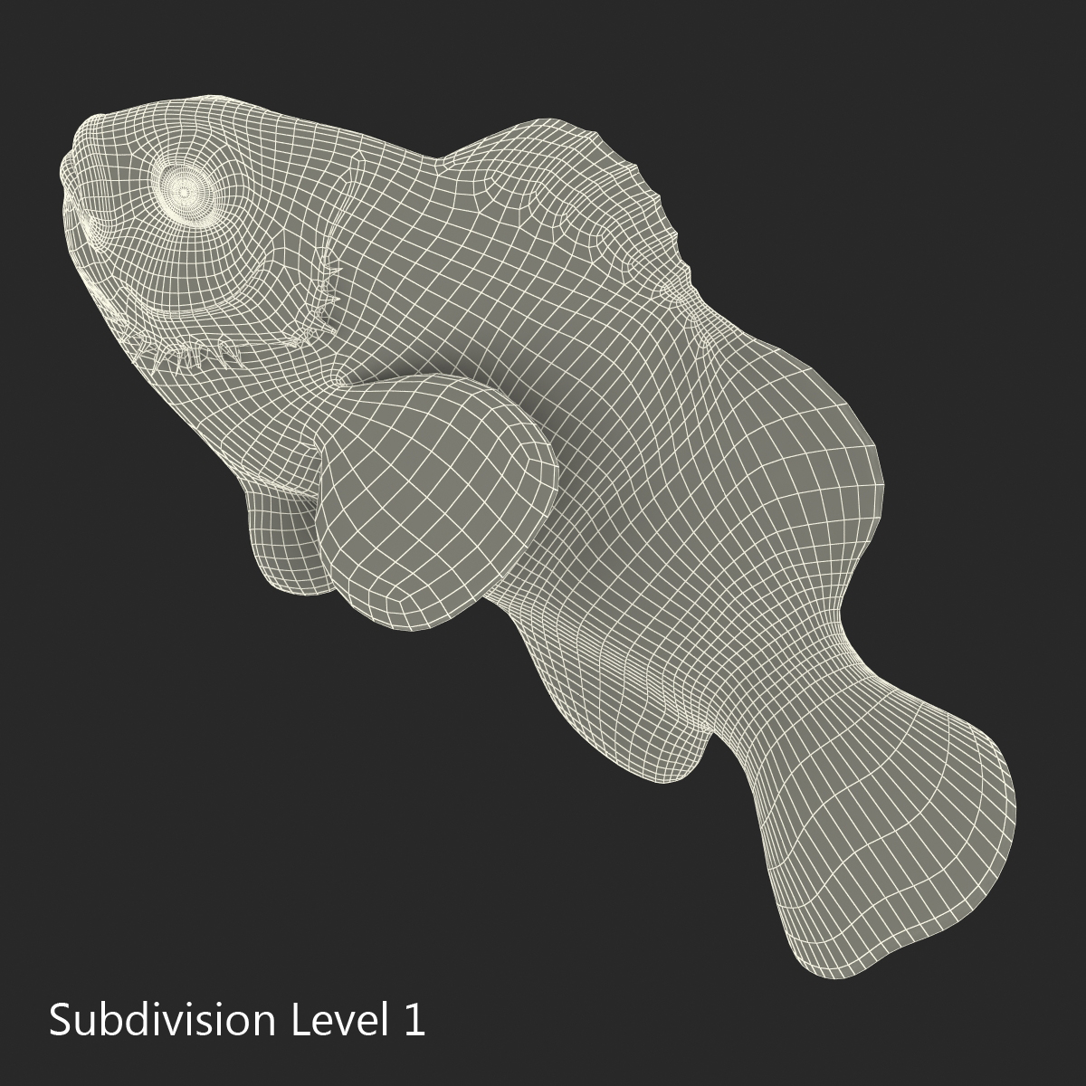 3D Clownfish Pose 2