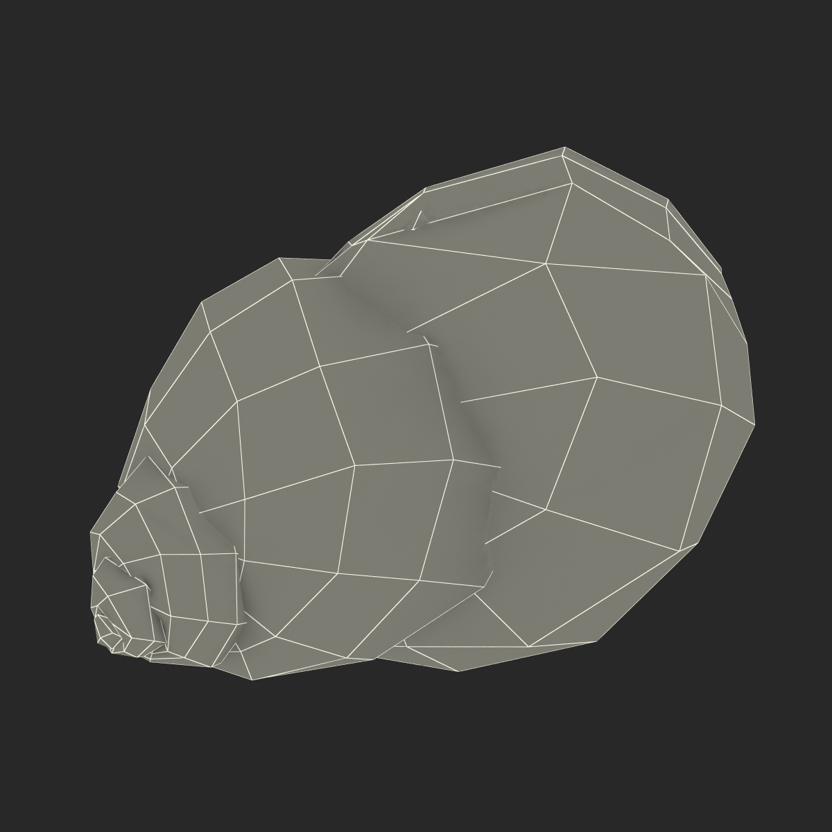 3D model Marginata Shell