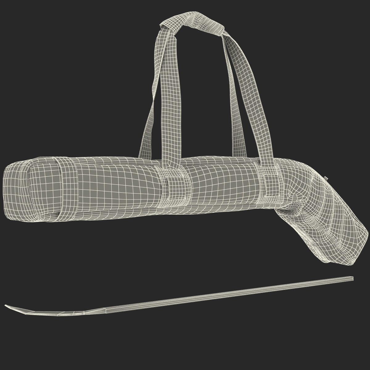 Hockey Stick Bag 2 Set 3D