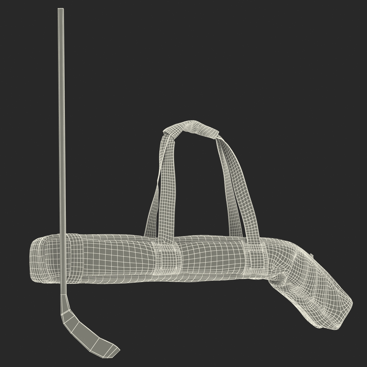 Hockey Stick Bag 2 Set 3D