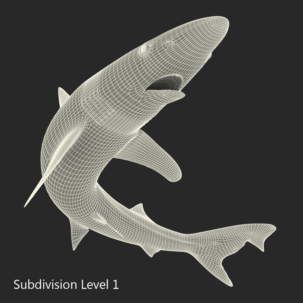 School Shark Pose 2 3D model