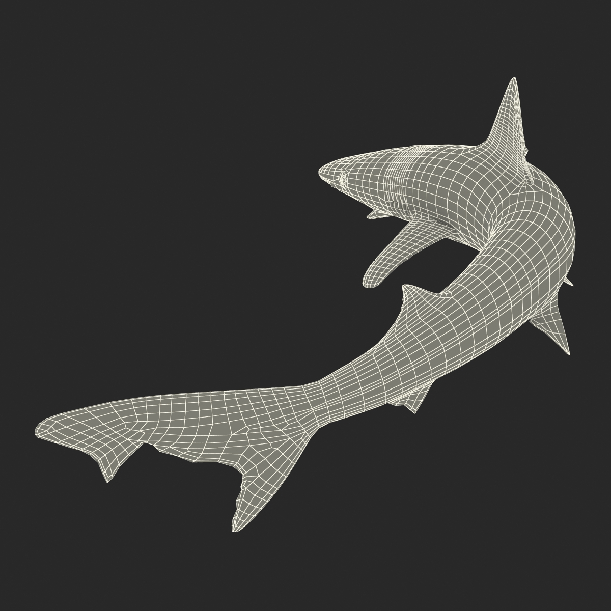 School Shark Pose 2 3D model