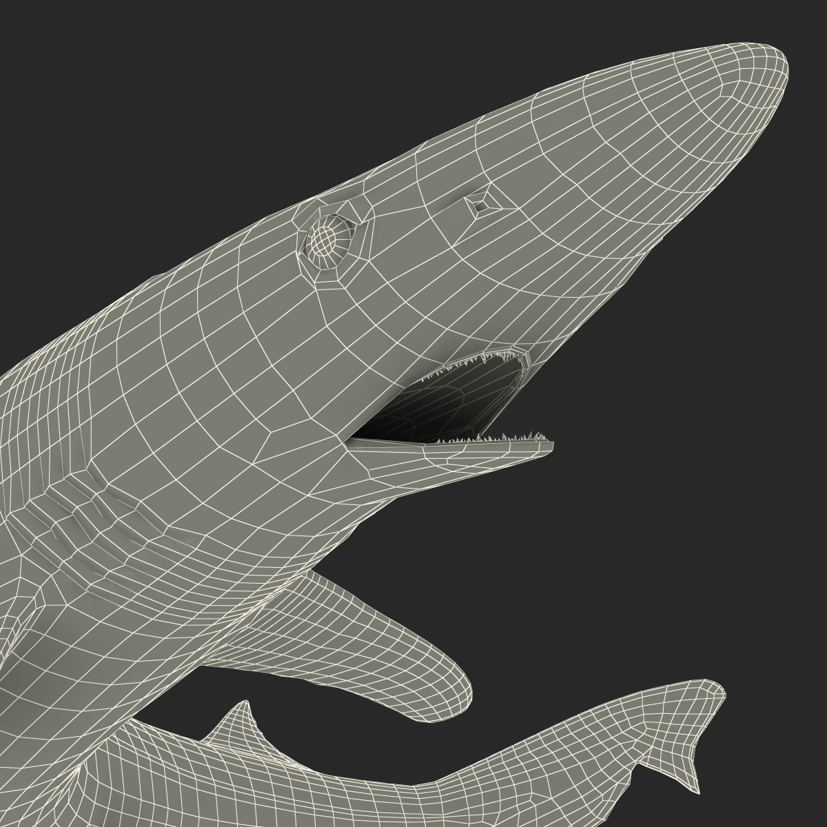 School Shark Pose 2 3D model