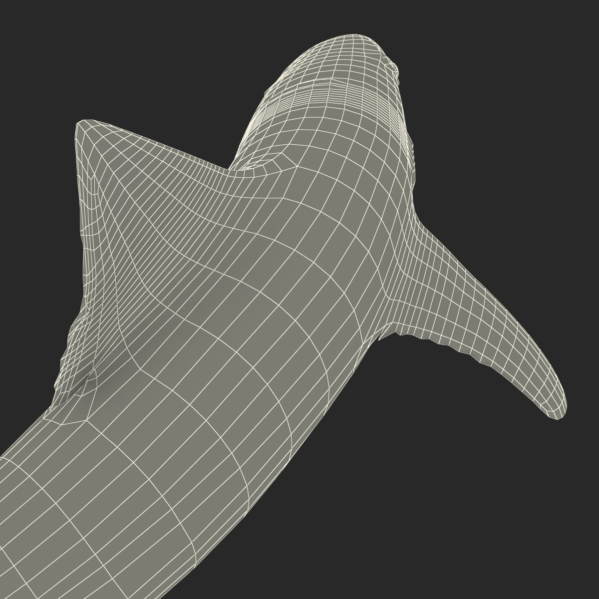 School Shark Pose 2 3D model