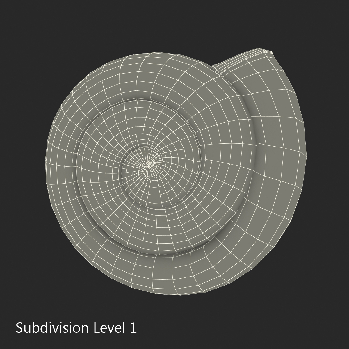 3D Snail Shell 2 model