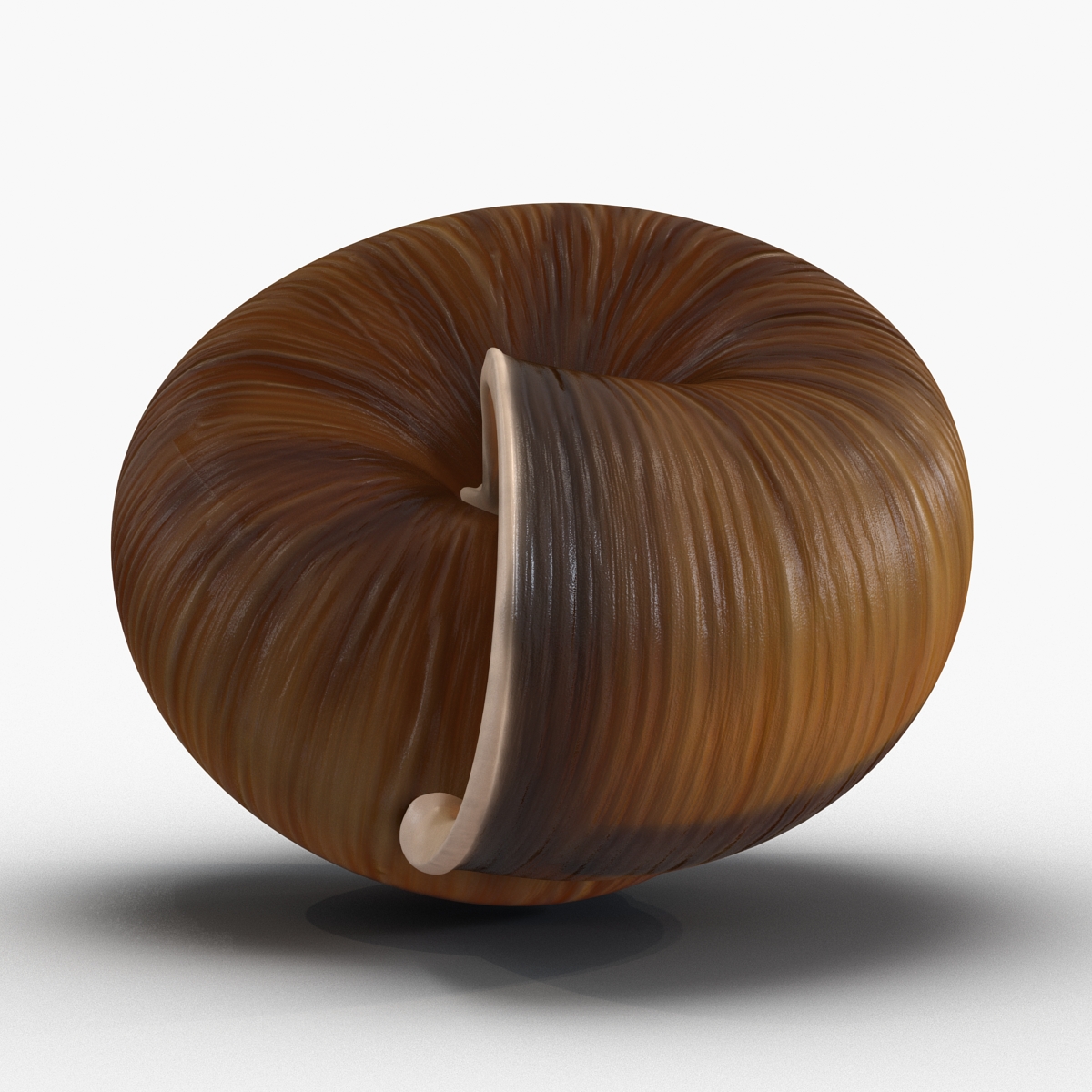 3D Snail Shell