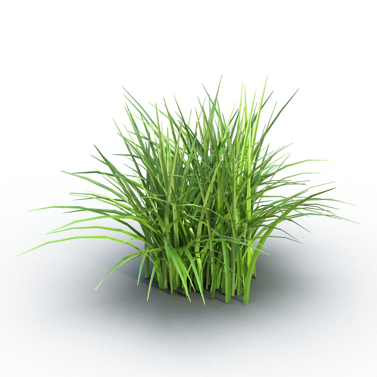 Grass 3D model